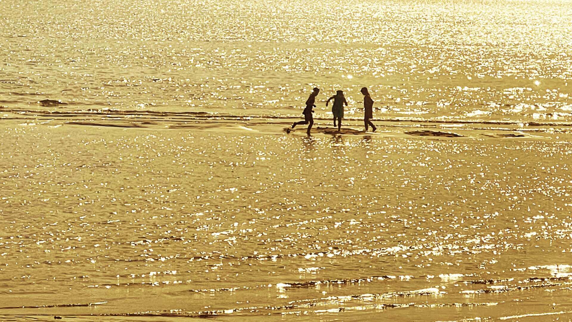 海辺の子供たち